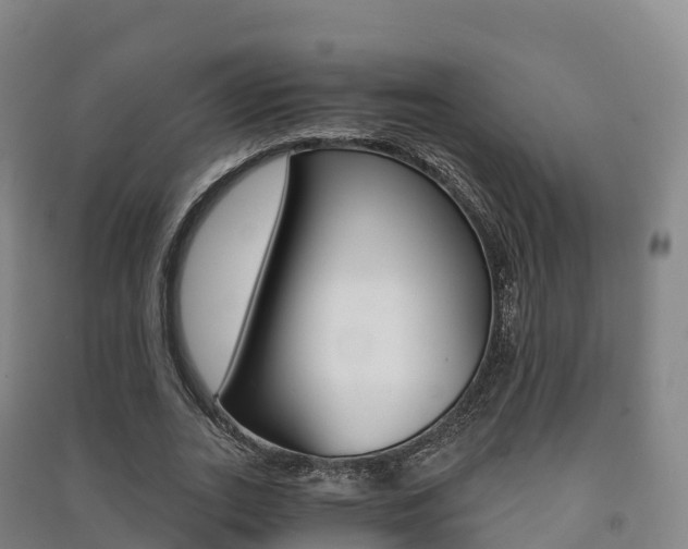 X0000091480727200708161147