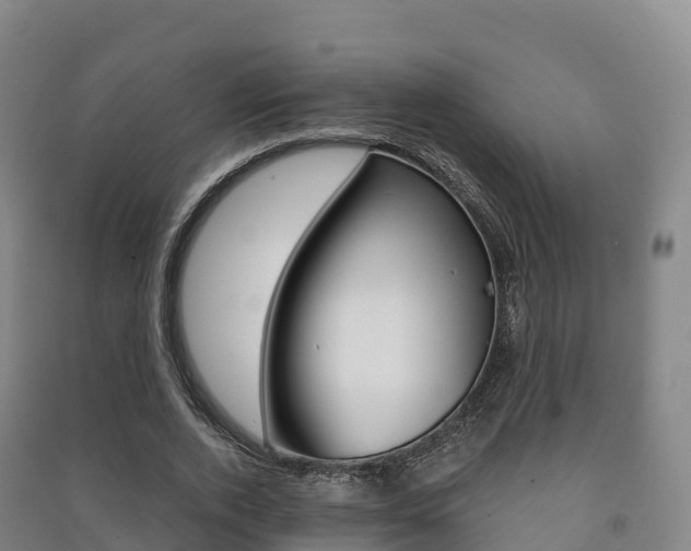 X0000091480728200708161147