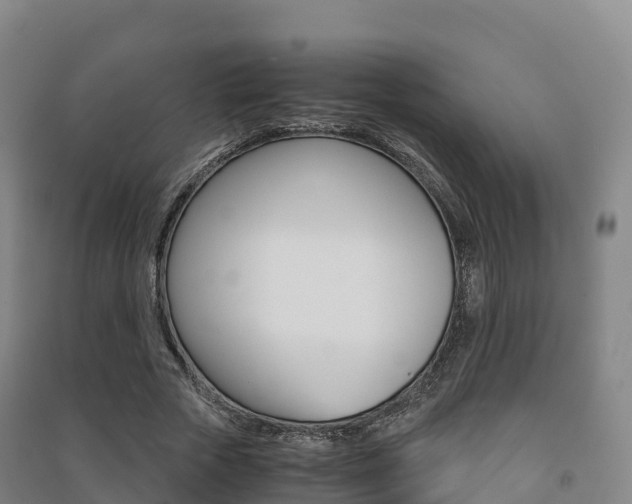 X0000091480729200708161147