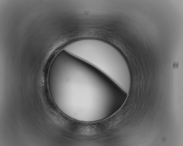 X0000091480731200708161147