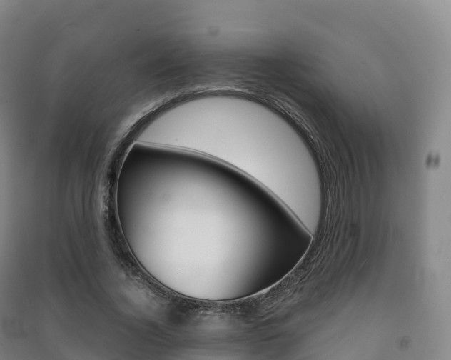 X0000091480732200708161148