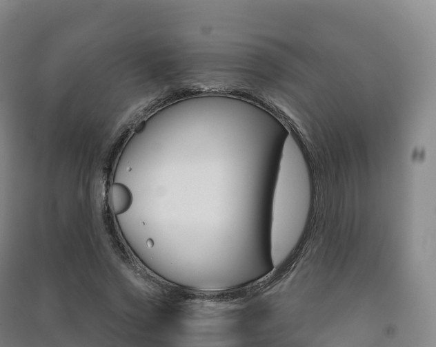 X0000091480733200708161148