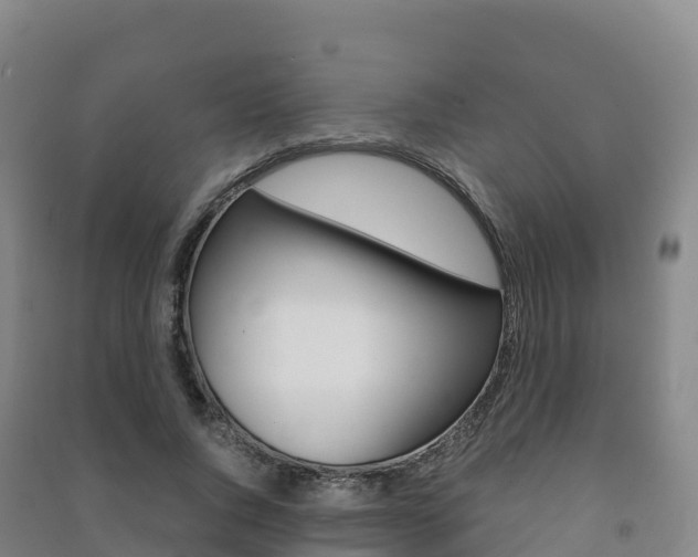 X0000091480736200708161148