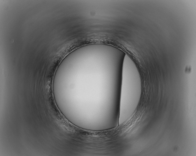 X0000091480737200708161148