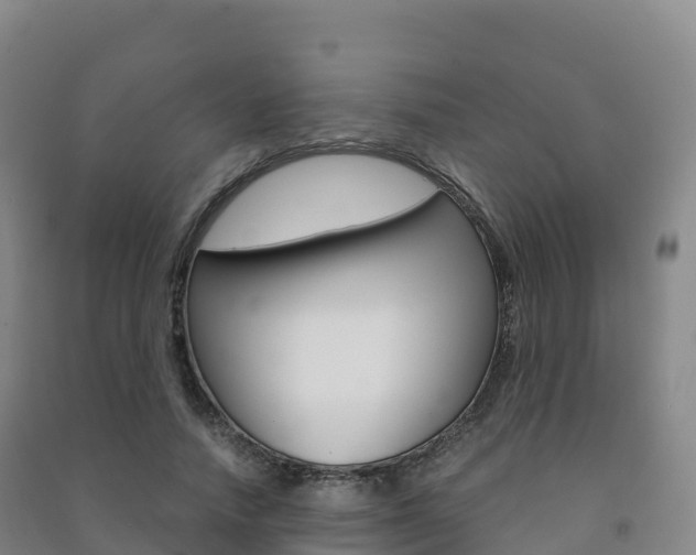 X0000091480738200708161148