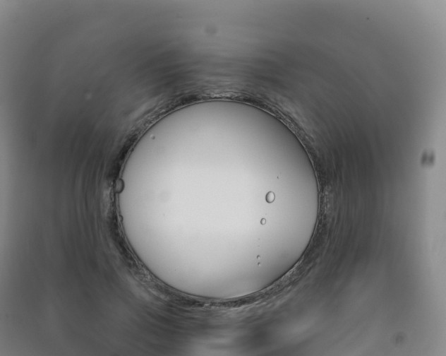 X0000091480741200708161148
