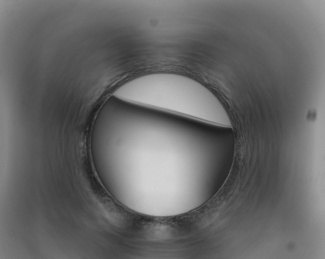 X0000091480743200708161148