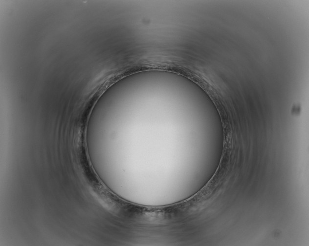X0000091480744200708161148