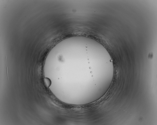 X0000091480745200708161148