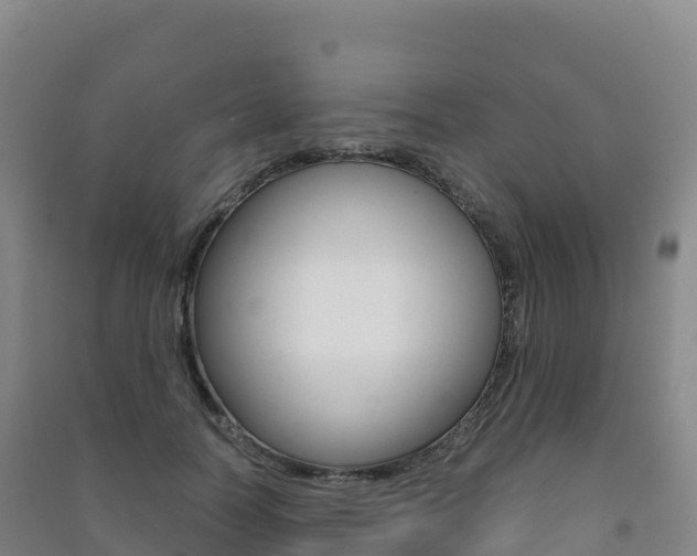 X0000091480746200708161148