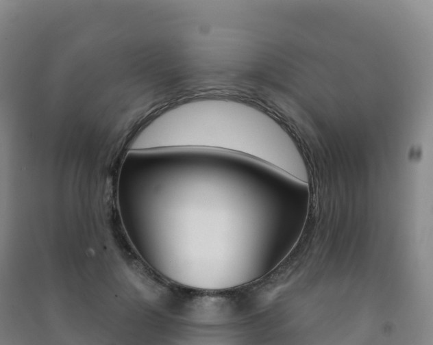 X0000091480748200708161148