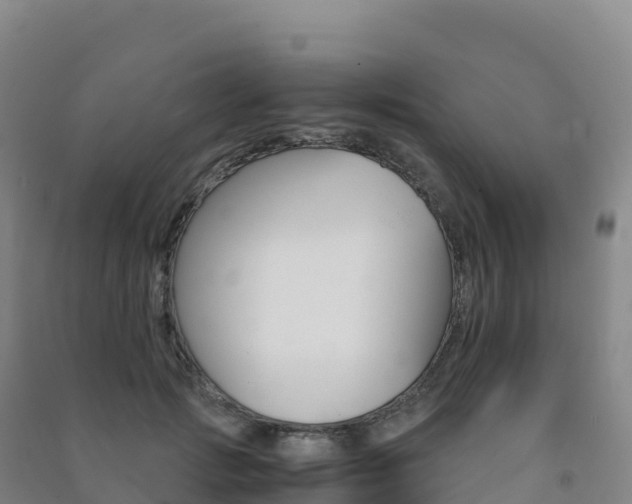 X0000091480749200708161148