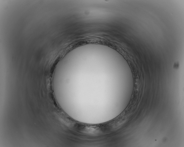 X0000091480753200708161148