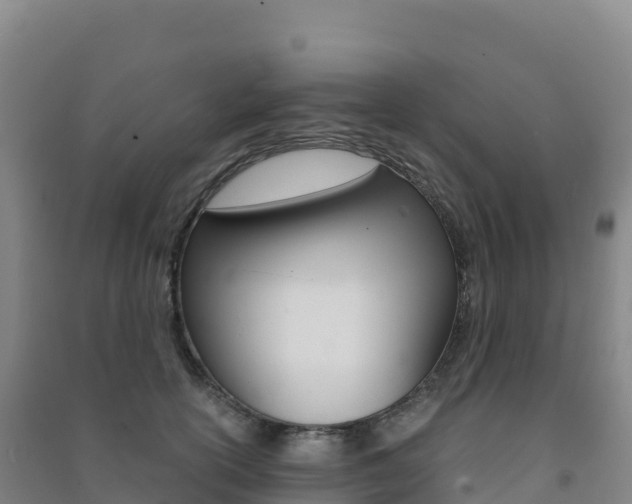 X0000091480754200708161148