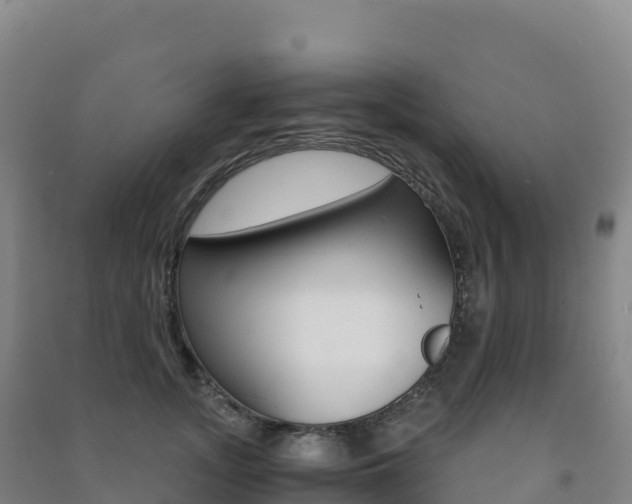 X0000091480755200708161148