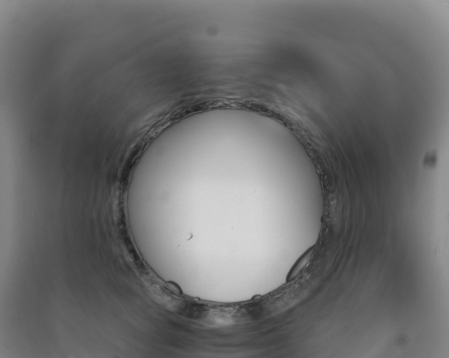 X0000091480757200708161148