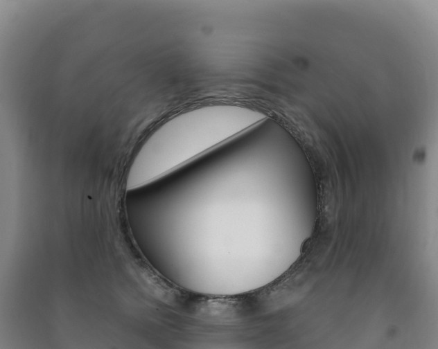 X0000091480758200708161148