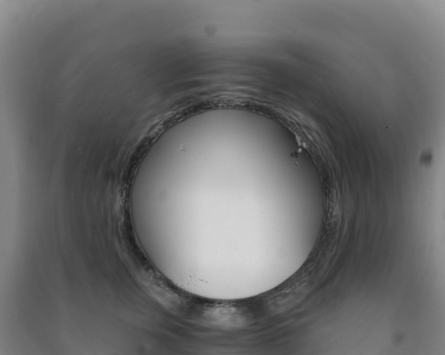 X0000091480759200708161148