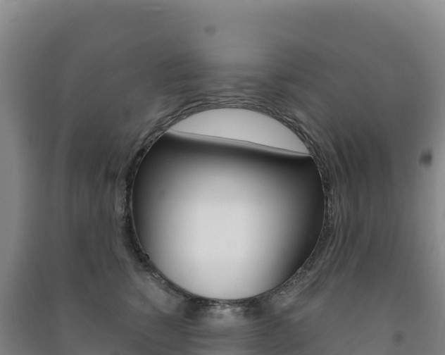 X0000091480760200708161148