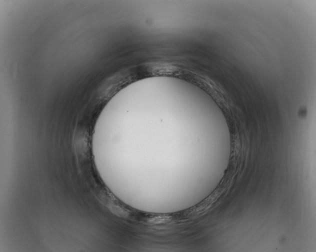 X0000091480761200708161148