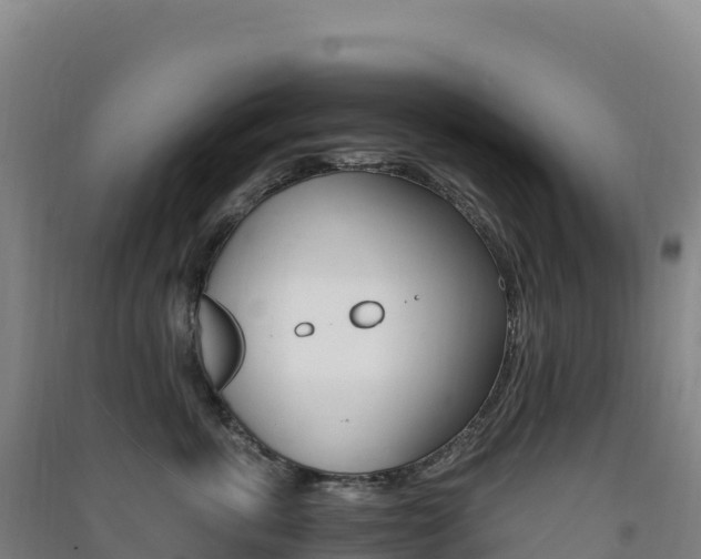 X0000091480763200708161148