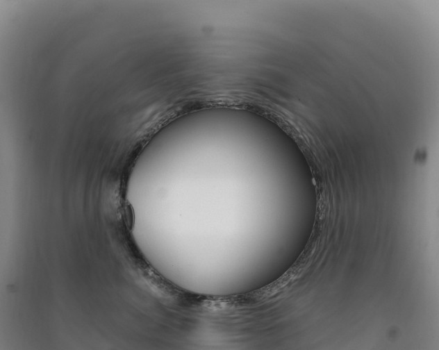 X0000091480764200708161148