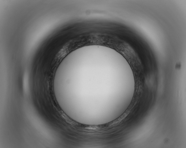 X0000091480765200708161148