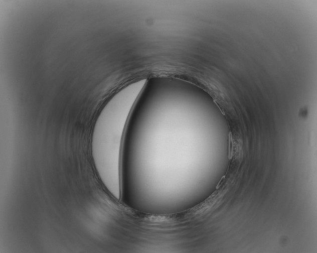 X0000091480766200708161148
