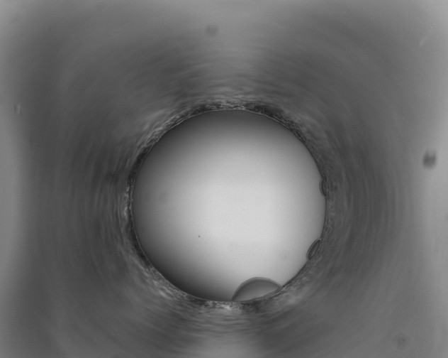 X0000091480768200708161148