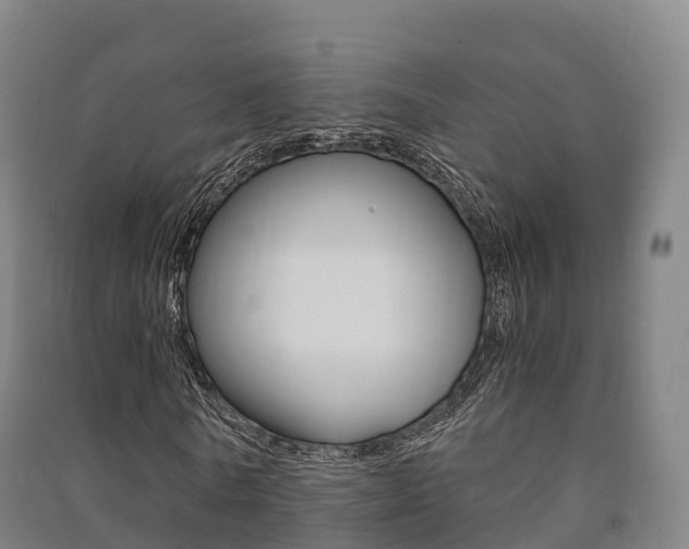 X0000091480770200708161147