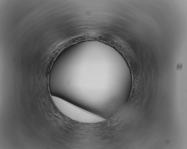 X0000091480773200708161147