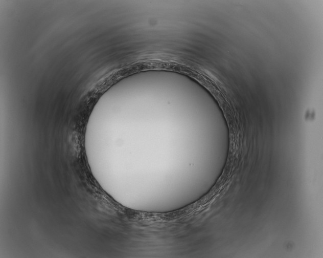X0000091480774200708161147