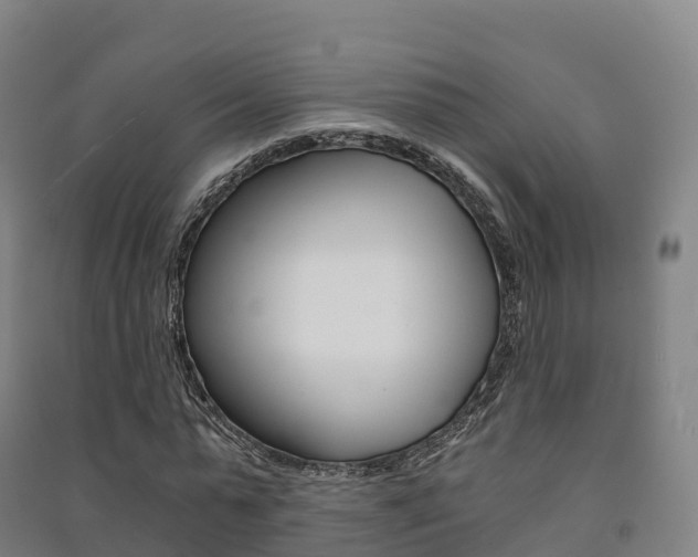 X0000091480775200708161147