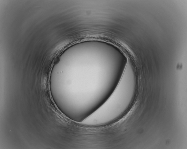 X0000091480777200708161147
