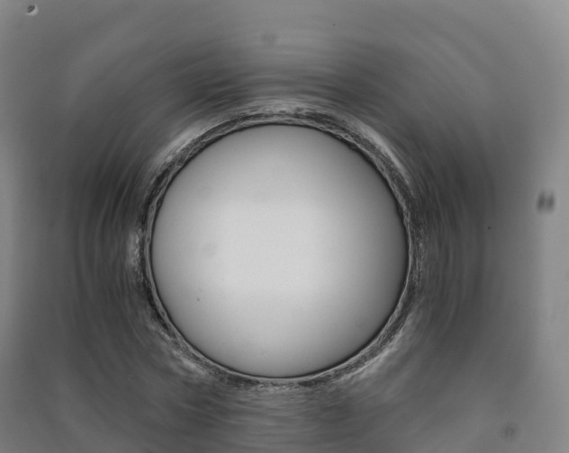 X0000091480778200708161147