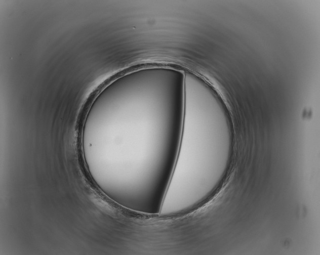 X0000091480779200708161147
