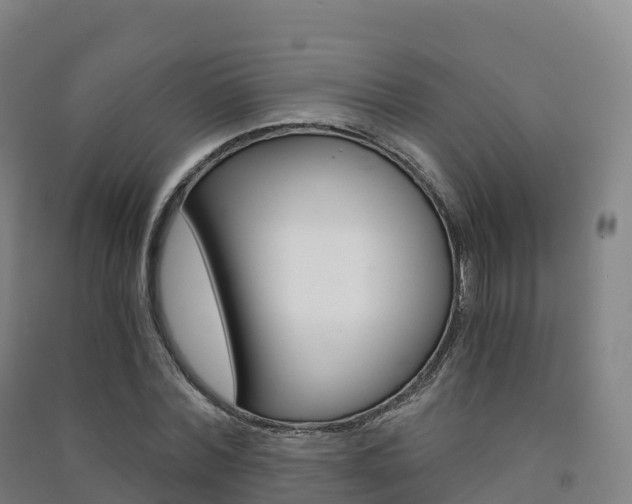 X0000091480780200708161147