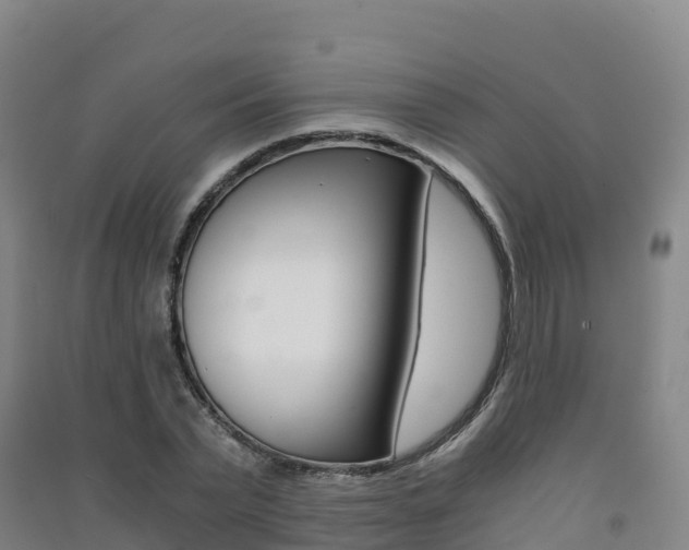 X0000091480783200708161147