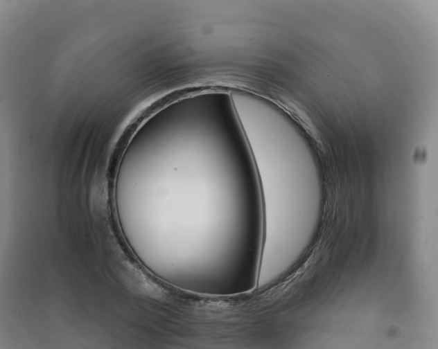 X0000091480784200708161147