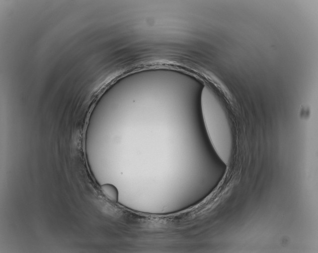 X0000091480785200708161147