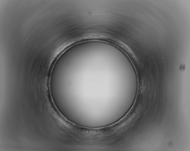 X0000091480786200708161147