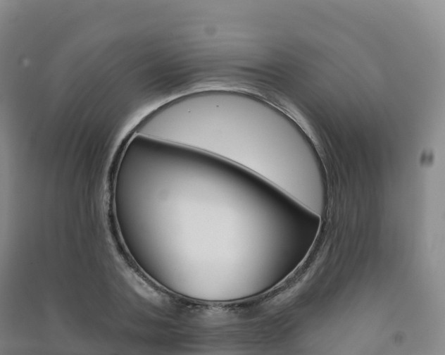 X0000091480787200708161147