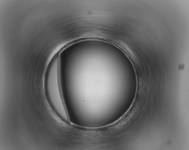 X0000091480788200708161147