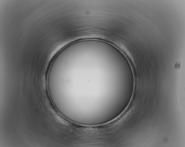X0000091480789200708161147