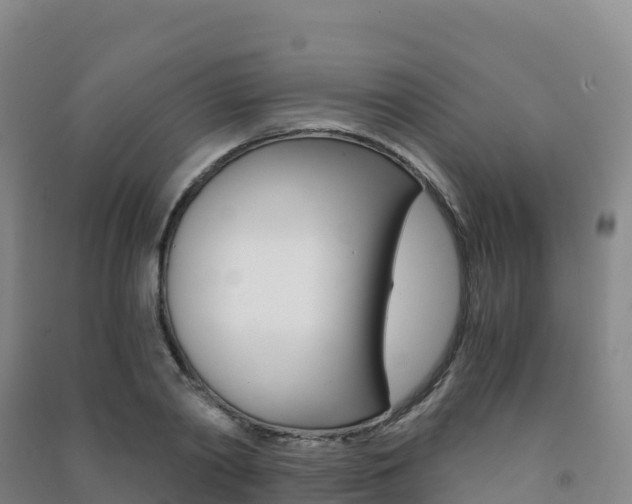 X0000091480790200708161147