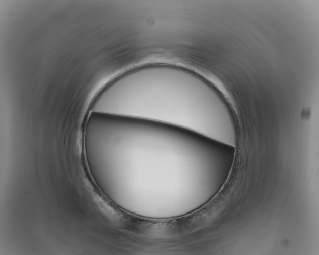 X0000091480791200708161147