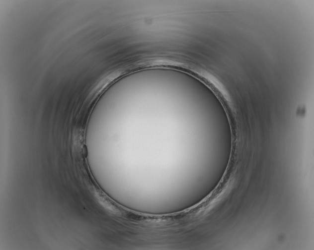 X0000091480793200708161147