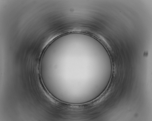 X0000091480794200708161147