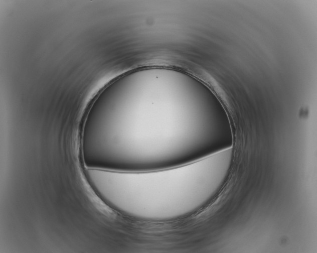 X0000091480795200708161147