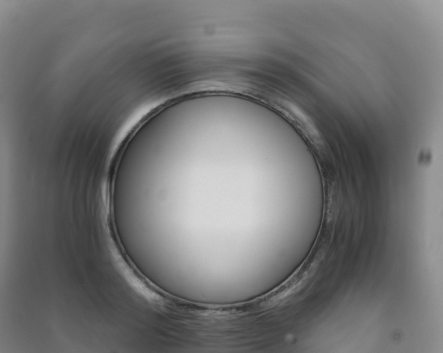 X0000091480796200708161147
